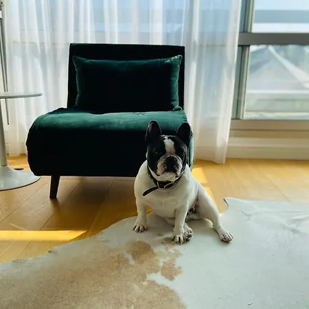 Le Raffine - Avec Balcon, Proche De L'ocean