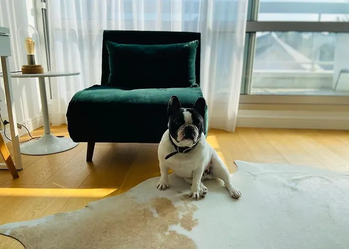 Le Raffine - Avec Balcon, Proche De L'ocean